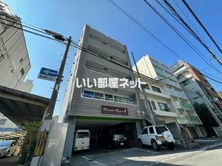 ヒューマンスペースVIIIの画像