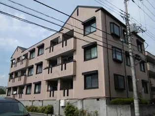 シルクトゥリーAの画像