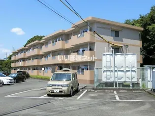 エタニティーIIの画像