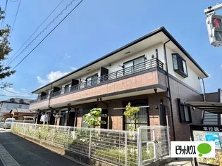 フォレストフェアリーの画像