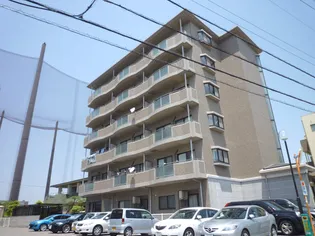 徳島県徳島市中吉野町4【マンション】の外観