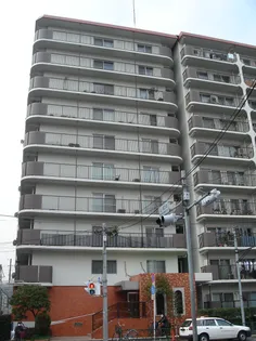 エクセル大島の画像