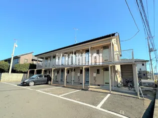 ホープラスソメヤの画像