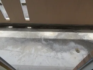 CAT FISH 壱番館【1階】の内装