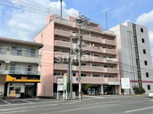 グレースマンションエルフ【4階】の外観