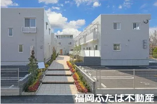 ロータスの画像