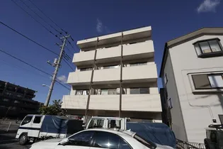 エムティパレスの画像