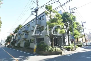 シュロスの画像