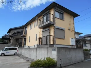 アクシス尾平の画像