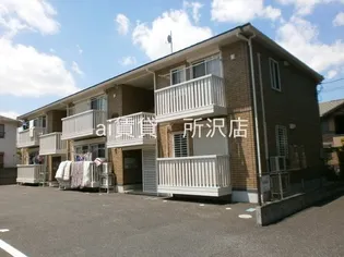 マインフォレストの画像