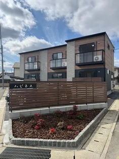 ハピネスの画像