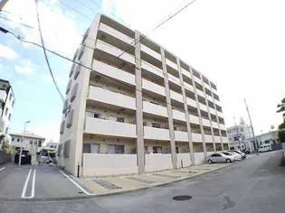 ヴィガラスの画像