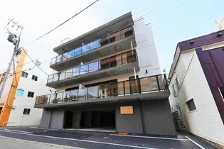 SANSEVIERIAの画像