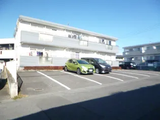 アレント ミズBの画像