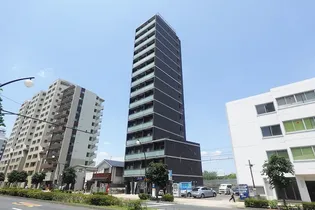 PINO SAKURAGAOKAの画像