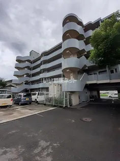 ドルフィン伏石の画像