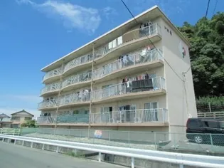 ドミ麗の画像