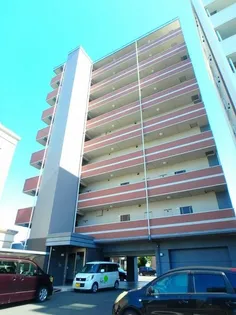 プリマローザの画像