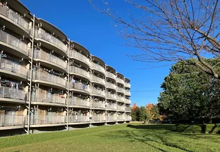 多摩ニュータウン落合団地Bー5号棟の画像