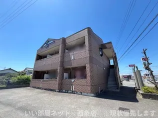 ルドーモくすの木の画像