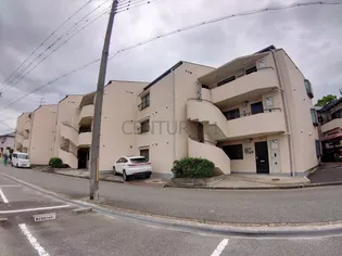 サンシャルマンユキの画像