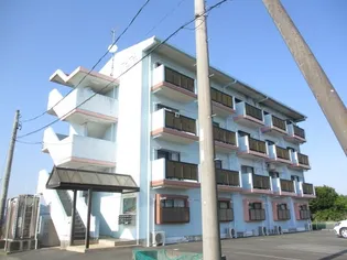 ドリームAZ Vの画像