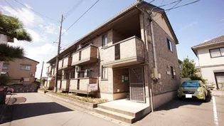 ヴィータの画像