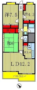 フォレスト早稲田【1階】の間取り