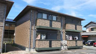 ノースステラBの画像