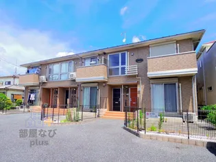 エバーグリーン トキの画像