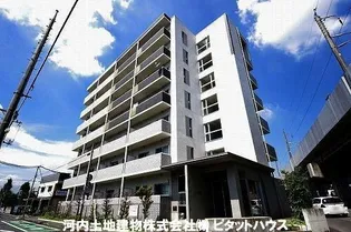 SATIE今泉の画像