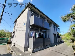 プリムローズの画像