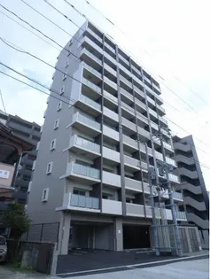 サヴォイ ブロンズガーデニアの画像