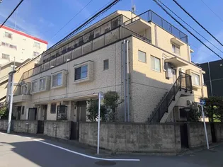 ベルビーマシコの画像