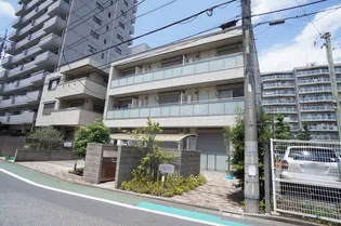 MOMIの画像