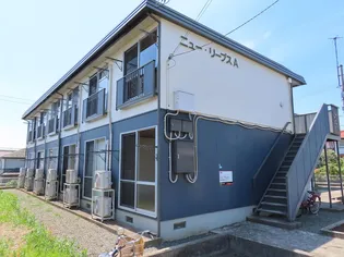 ニューリーブスAの画像