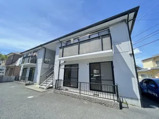 サンフラワーイイダの画像