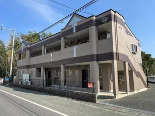 ソレイユみさきの画像