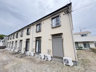 LLライムの画像