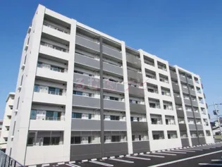 ELEVITA弥永の画像