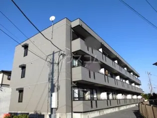 アネシスの画像