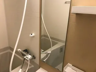 SYNEX NISHI-OI【3階】の風呂