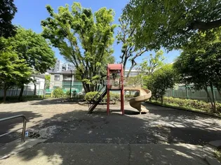 PASEO神宮前【3階】の周辺