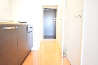 エンクレスト博多駅南III【3階】の内装