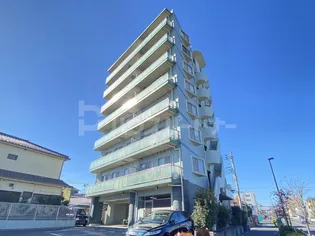 ドルチェ オオギの画像