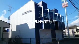 ハイネスヤワラの画像