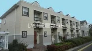 ウィステリア 菜花の画像