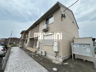 プリムローズの画像