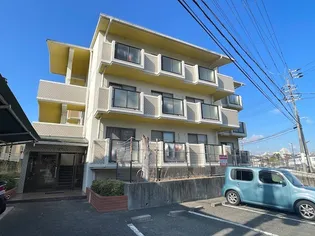 すずらんの画像