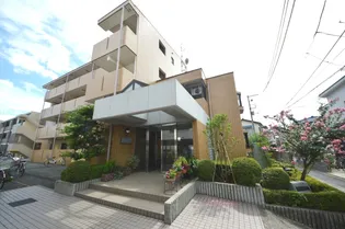 フィレオ ベルツリーの画像